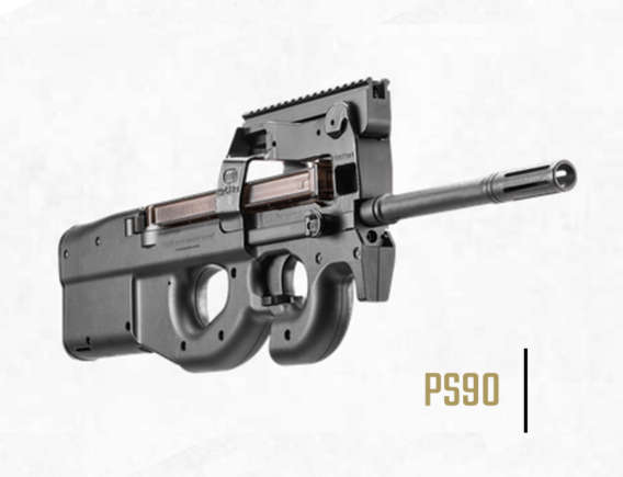 PS90 Firearm