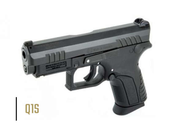 Q1S Handgun sales