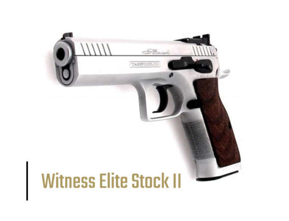 Witness Elite Stock II Handgun